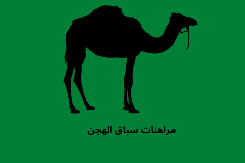 betting guide for camel racing