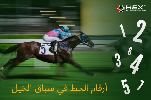 lucky numbers horse racing